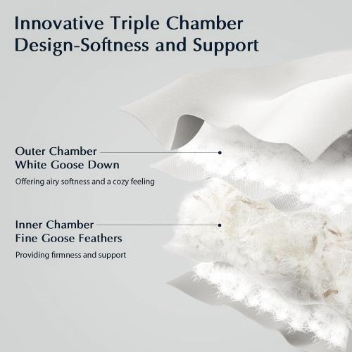 Pacific Coast Bed Pillows for Side and Back Sleepers, Feather and Down Hotel Pillows with 100% Cotton Shell, Medium Supportive, Downproof, King Size 2 Pack