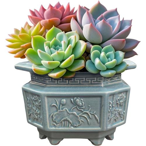 8-Inch Large Octagon Bonsai Pot Light Blue Water Glaze Bonsai Tree Ceramic Flower Pot Handmade