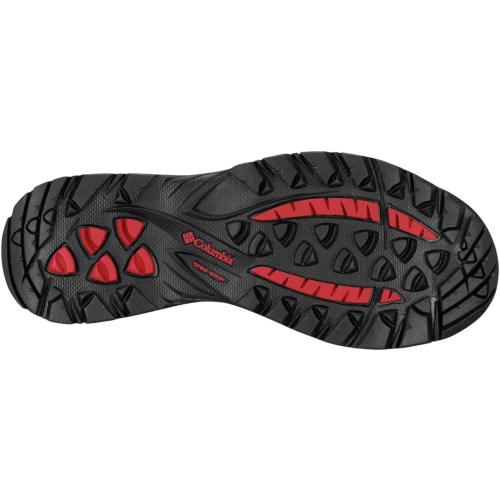 Sizer 6.5 Columbia Women's Discontinued Newton Ridge Plus Waterproof Amped Hiking Boot