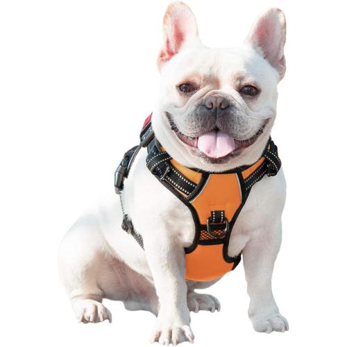 Size small Color orange PHOEPET No Pull Dog Harnesses for Small Dogs Reflective Adjustable Front Clip Vest with Handle 2 Metal Rings 3 Buckles [Easy to Put on & Take Off] (S, Orange)