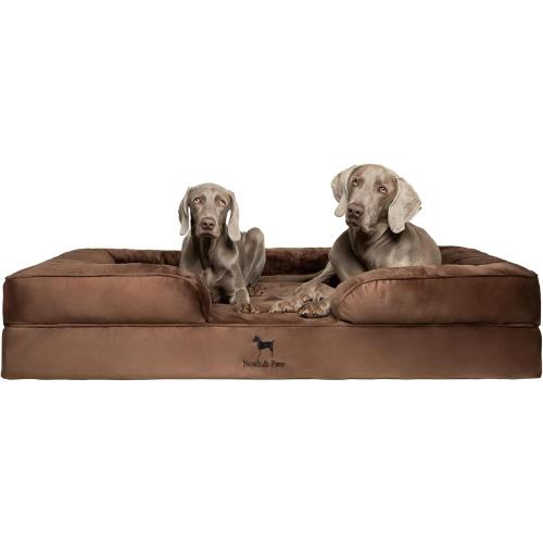 NOAH & PAW Giant Dog Bed XXL, 55x45x11 Inch, Orthopedic Dog Beds, Eggshell Memory Foam Infused with Cooling Gel, Inner Cover, Waterproof, Machine Washable (Velvet Sofa Collection)