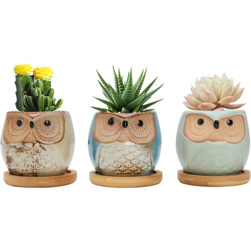 Warmplus 2.5 inch Owl Succulent Plant Pots - Mini Ceramic Planter with Drainage Hole for Mini Succulent Plants, Plants Not Included, Cute Succulent Kit 3 Pack