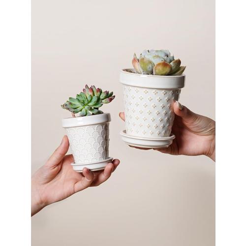 Size 4 inch set of 4 Color White LE TAUCI Ceramic Succulent Pots, 4 Inch Small Plant Pot for Indoor Plant Cactus, Embossed Flower Pots with Drainage Hole & Saucer - Set of 4, Arctic White