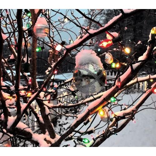 Novelty Lights Incandescent Christmas Replacement Bulbs - Indoor/Outdoor Individual Bulbs for Christmas Tree, Display, & More - C9/E17 Intermediate Base, 7 Watt Lights (Multi, 25 Pack)