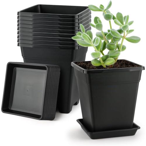 BTPLASTIK Square Plastic Planter 8 Inch, Plant Pots with Drainage Hole & Tray, 10 Pack Modern Decorative Garden Pot with Saucer, 1 Gallon Flower Pots Planters for Indoor Outdoor Plants