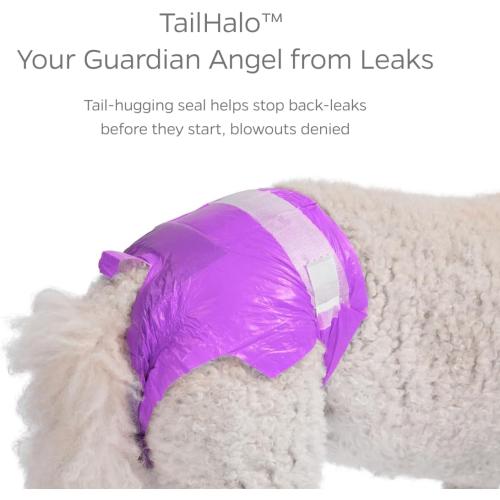 Pet Parents® DiPees® Disposable Dog Diapers   Extendrs®, Leak Proof, Up to 75% Plant Based, Premium Disposable Dog Diapers Female (Princess, Large (17-28), 20ct)