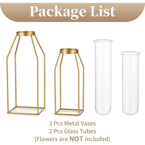 Sziqiqi Metal Flower Vase Table Decor - Gold Frame Vase with Glass Test Tubes 8/10 Modern Bud Vase for Coffee Table Living Room Abstract Geometric Art Vase for Rose Hydroponic Plant Pampas