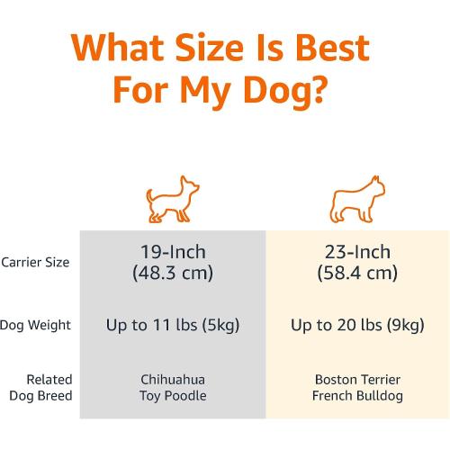 Amazon Basics 2-Door Top-Load Hard-Sided Dogs, Cats Pet Travel Carrier, Gray & Blue, 22.8L x 15.0W x 13.0H