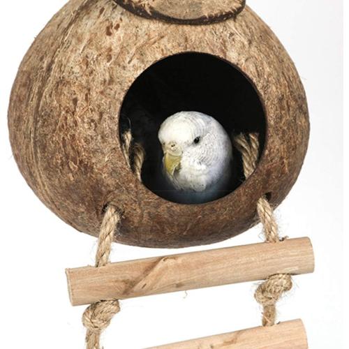 Brown Hide with Ladder Natural Fiber Hanging Birdhouse Shells Breeding Nest for Parrot