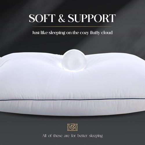 Luxurious Goose Down Bed Pillows King Size Set of 2