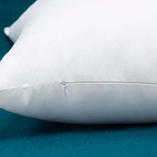 EDOW Set of 2 Cotton Fabric Plump Throw Pillow Inserts, Down Alternative Decorative Couch Cushion Cover Filler, 20 X 20 Inches