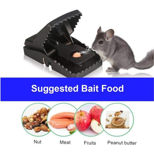 Mouse Trap, Mice Traps That Work Best Snap Traps for Small Mice and Mouse Outdoor Indoor Quick Kill and Reusable Mouse Traps 6 Pack
