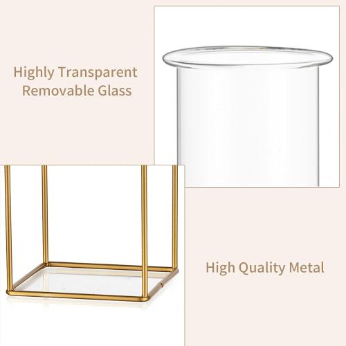 Sziqiqi Metal Flower Vase Table Decor - Gold Frame Vase with Glass Test Tubes 8/10 Modern Bud Vase for Coffee Table Living Room Abstract Geometric Art Vase for Rose Hydroponic Plant Pampas