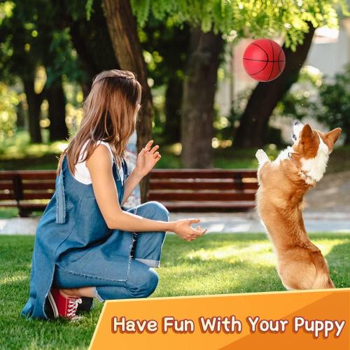 4PCS....Mini Foam Basketball for Hoop, 5 Squeeze PU Balls for Over The Door Hoop, Replacement Balls for Kids Adults, Beach Indoor Outdoor Sport Game Gift Set 4 PCS (Rainbow)