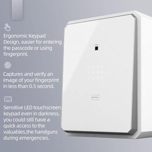 Family Fingerprint Password Safe Box with Key,Cabinets for Home Offcie,Security Box,Document safe,Lock box,Case Box, 2.1Cubic feet White