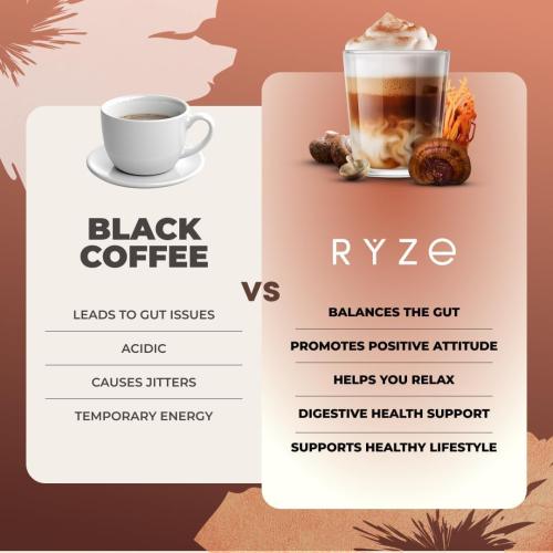 RYZE SUPERFOODS Mushroom Dark Roast Coffee Starter Kit, Instant Coffee with 6 Adaptogenic Mushrooms and Better Energy, Focus, Digestion, Immunity with Lions Mane & Turkey Tail. Pack of 2