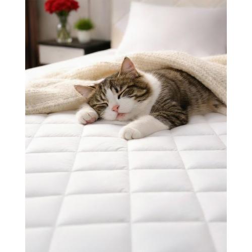 Quilted Fitted Mattress Pad Protector Full Size - Elastic Fitted Mattress Topper & Cover - Breathable, Soft, Low Profile Top Cover with 8-16 Inch Deep Pockets - Easy-Fit and Machine Washable - White