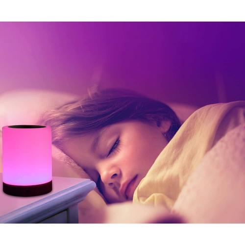 Night Light, Touch Lamp for Bedrooms Living Room Portable Table Bedside Lamps with Rechargeable Internal Battery Dimmable 2800K-3100K Warm White Light & Color Changing RGB (Regular Size)…