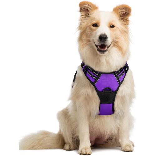 Medium rabbitgoo Dog Harness No Pull with 2 Leash Clips, Adjustable Soft Padded, Reflective Oxford No Choke Pet Vest with Easy Control Handle for Medium Sized Dogs, Purple, M