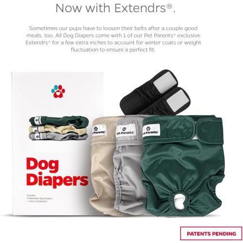 Pet Parents® Washable Dog Diapers (3pack)   Extendrs® of Durable Doggie Diapers, Premium Dog Diapers Female (Large, Spruce)
