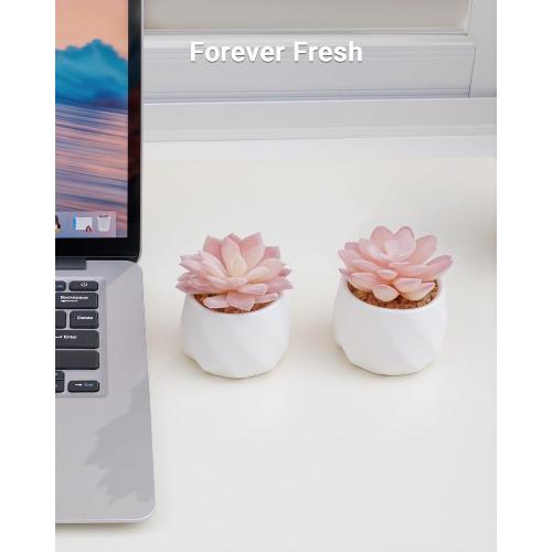 VIVERIE Mini Succulents Plants Artificial in Pots-Rose Pink, Christmas Small Fake Succulents Plants for Home Decor Indoor for Women, White Ceramic Faux Succulents, Set of 2, Gifts for Mom