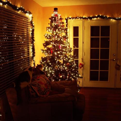 SAFIGLE Snowman Christmas Tree Topper 36 Inch Plush Snowman Head with Knitted Scarf Soft Cotton Padding Holiday Tree Decoration for Winter Home Party