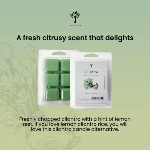 PRISTINE Scented Wax Melts and Candles Set With Tea Light Warmer   Top 4 Popular Scentsy Soy Melts, Pumpkin, Lavender, Cilantro, Coconut | Includes FREE Burner and 2 Tealights