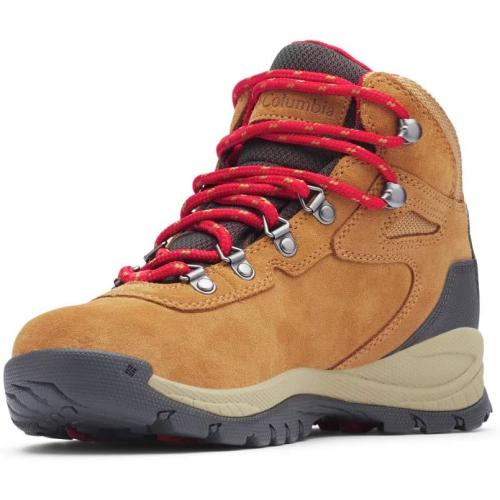 Sizer 6.5 Columbia Women's Discontinued Newton Ridge Plus Waterproof Amped Hiking Boot