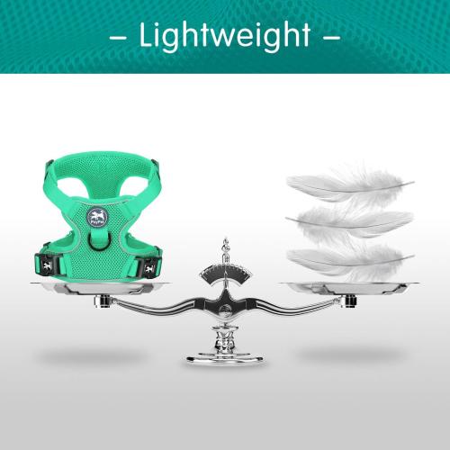 PoyPet Reflective Soft Breathable Mesh Dog Harness Choke-Free Double Padded Vest with Adjustable Neck and Chest(Mint Green,L)