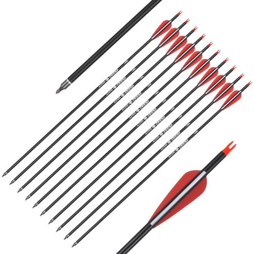 Carbon Arrow Hunting Arrows with 100 Grain Removable Tips for Archery Compound & Recurve & Traditional Bow Practice Shooting (Pack of 12)
