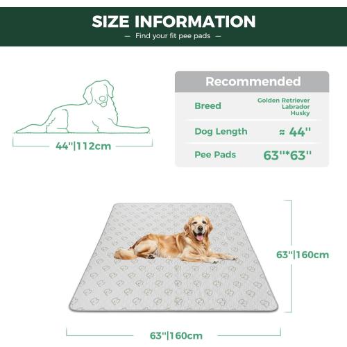 FXW Washable Pee Pads for Dogs, Puppy Pads with Super Absorbent, Specifically Designed for FXW Rollick/Homeplus 24inch 8 Panels Dog Playpen, 63 Square, Khaki, 1 Pack