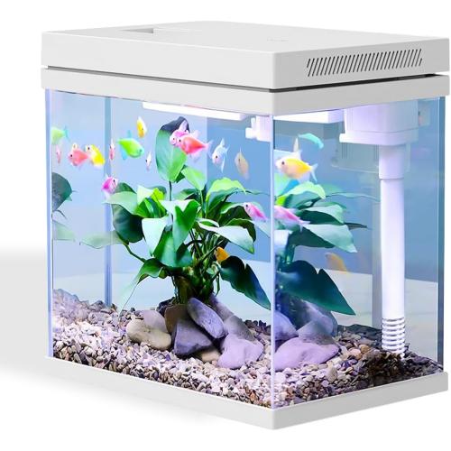 Fish Tank, 4 Gallon Nano-Aquarium, Upgrade Filter System and LED Light, for Freshwater & Marine, Filter Balls Included (4 Gal)