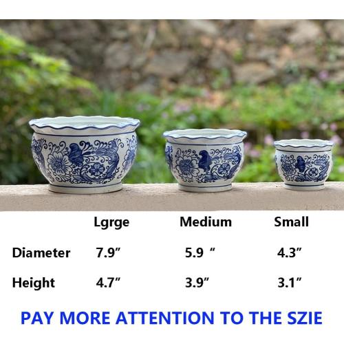 Blue and White Planters, Succulent Pots Ceramic Plant Pots Indoor with Drainage for Home Décor - Set of 3