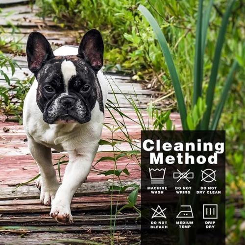 Comfortable Polycotton Dog Hoodie: Soft, Lightweight Puppy Vest for Small and Large Dogs, Highlighting The Heartfelt 'I Only Love My Bed, My Mama, I'm Sorry' Slogan Print Grey XS