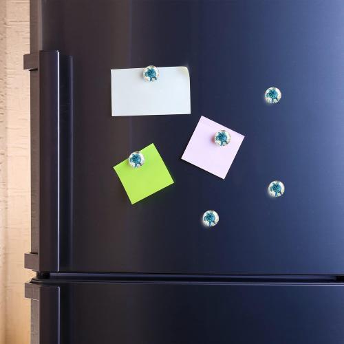 Set of 2 Turtles and sunflowers Round Refrigerator Magnets Glass Fridge Magnets Decoration for Fridge Office Calendar Whiteboard Photo Cabinet 6 Pcs - Retro Turtle