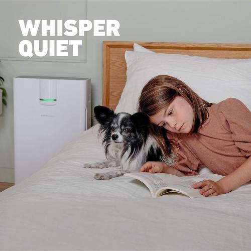 HATHASPACE HSP002 True HEPA Air Purifier | True HEPA Air Purifier for Home - Removes 99.9% of Dust, Smoke, Pet Dander & Odors, Covers Up to 1500 Sq Ft