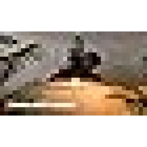 FEMILA Indoor Outdoor Wall Sconces, Gooseneck Barn Light Vintage Farmhouse Wall Lamp, Oil Rubbed Bronze Finish, 4FY15-1W ORB