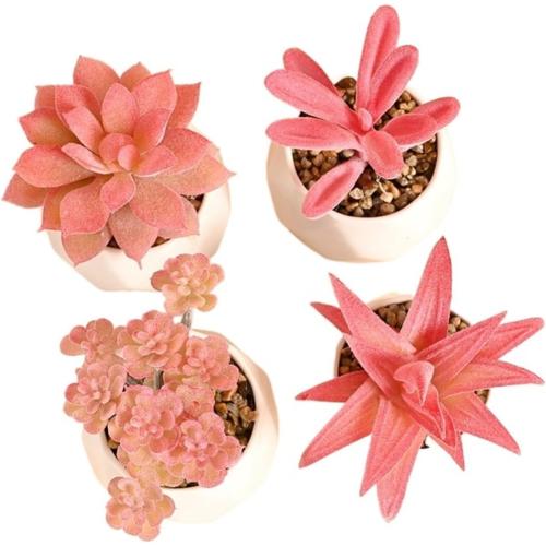Succulent Pink Bonsai Micro Landscape Potted Plant Decoration 4-Piece Set (with Diamond Pot)