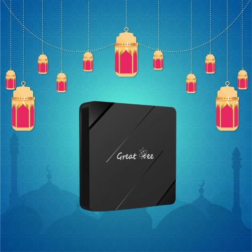 Great Bee Arabic Television Remote Controller for Muslim