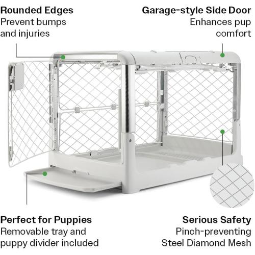 DIGGS Revol Collapsible Dog Crate with Wheels - Premium Portable Dog Crate - Safe, Stylish, and Convenient Indoor Kennel (Ash, Medium)