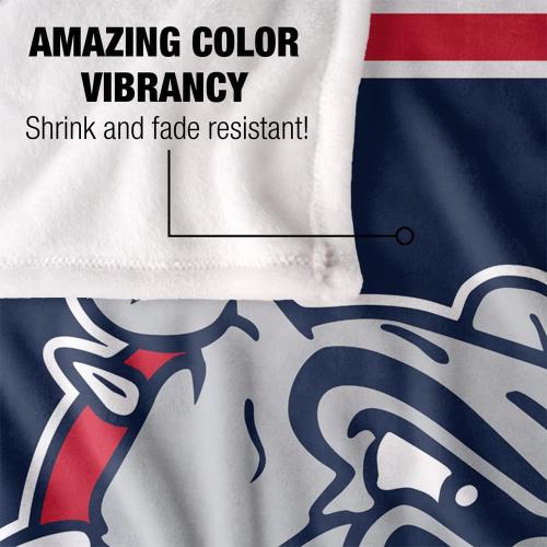 LOGOVISION Official Collegiate Primary Logo Collection Silky Touch Super Soft Throw Blanket Collection