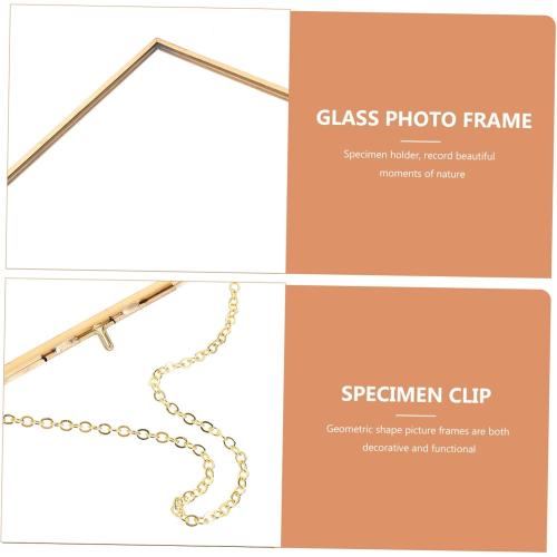 SOLUSTRE Hanging Glass Photo Frame with Specimen Clip Geometric Decorative Holder for Wall Mounted Photos Copper Color for Home Decor and Unique Displays