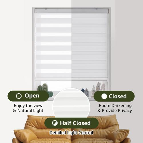 Foiresoft Standard Zebra Roller Blinds [W 36 x H 64inch, White, Basic], Light Filtering Dual Layer Window Shades, 13 Colors, Customizable Options