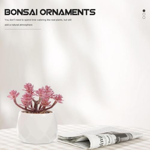 Artificial Succulents Bonsai Set 4pcs, Realistic Fake Succulent Plant Pots, Vivid Desktop Potted Plants Décor for Home Office Decoration