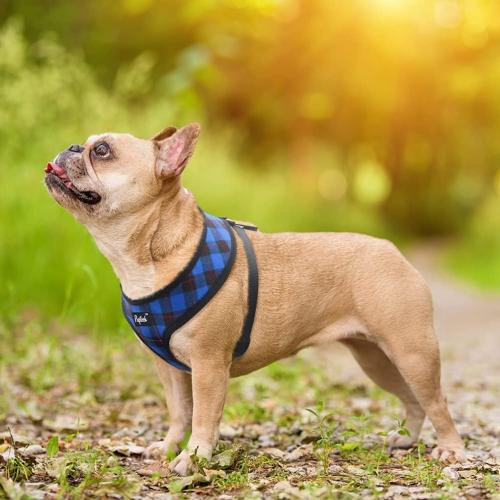 Size S PUPTECK Soft Mesh Dog Harness and Leash Set Pet Puppy Cat Comfort Padded Vest No Pull Harnesses, Navy Blue,