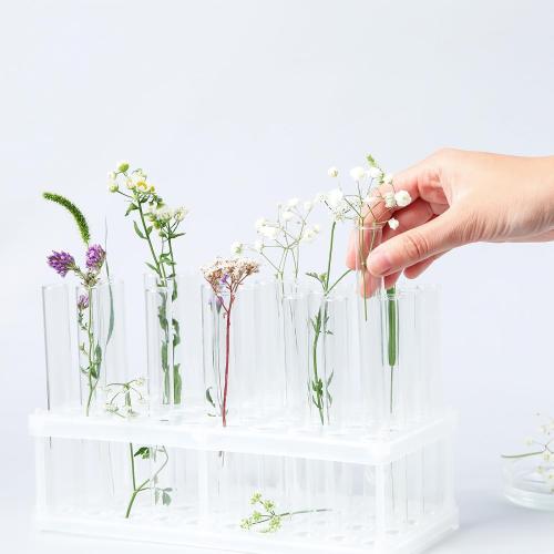 Xuhal 200 Pack Plastic Test Tubes 12 x 100mm 12 ml Lab Tubes Test for Scientific Themed Birthday Party Supplies (White Color)