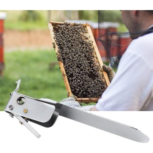 Stainless Steel Beekeeping Grafting Pin Beekeeping Grafting Needle Shift Pin Insect Larva Transferring Tool SingleEnd for Bee Larva Transferring
