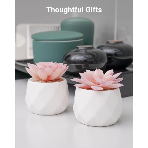 VIVERIE Mini Succulents Plants Artificial in Pots-Rose Pink, Christmas Small Fake Succulents Plants for Home Decor Indoor for Women, White Ceramic Faux Succulents, Set of 2, Gifts for Mom