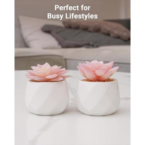 VIVERIE Mini Succulents Plants Artificial in Pots-Pink, Christmas Small Fake Succulents Plants for Home Decor Indoor for Women, White Ceramic Faux Succulents, Set of 2, Gifts for Mom
