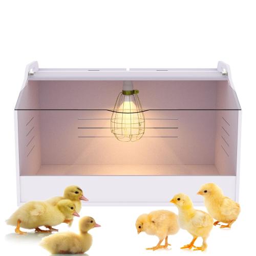 Chick Brooder Box with Heat Lamp - Suitable for Chicks, Ducks, Parrots & Lizards (19 X 12 X 12)
